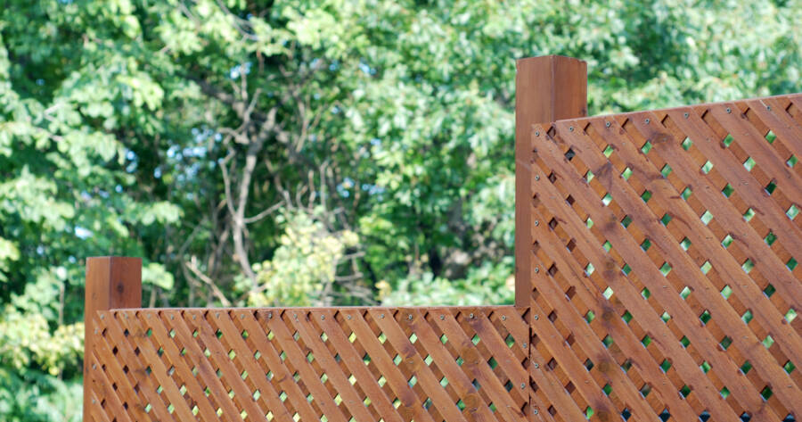 Backyard Privacy Screen Ideas That Don’t Require Major Renovation